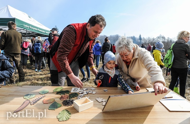 Niech się lasy pną do góry zdjęcie nr 197509