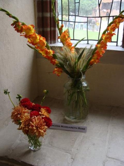 Wystawa kwiatów w muzeum zdjęcie nr 15932