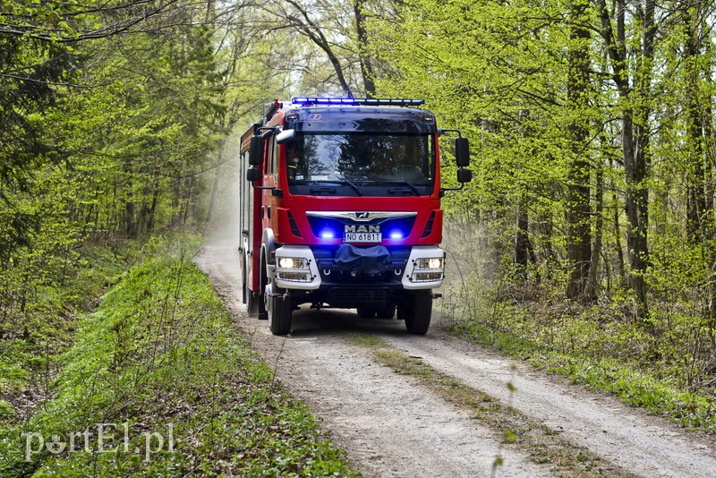 Pożar w środku lasu zdjęcie nr 199532