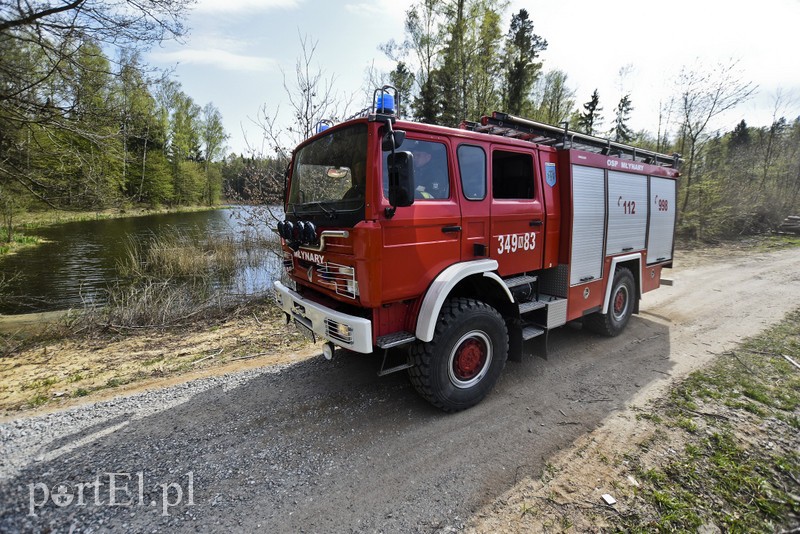 Pożar w środku lasu zdjęcie nr 199529