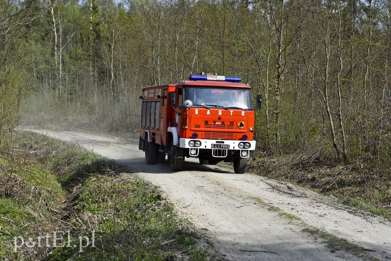 Pożar w środku lasu zdjęcie nr 199556