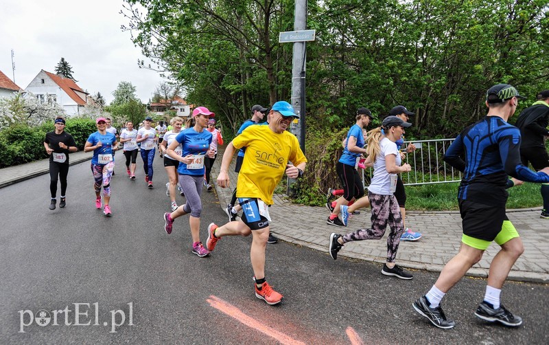 Bieg dla hospicjum zdjęcie nr 199910