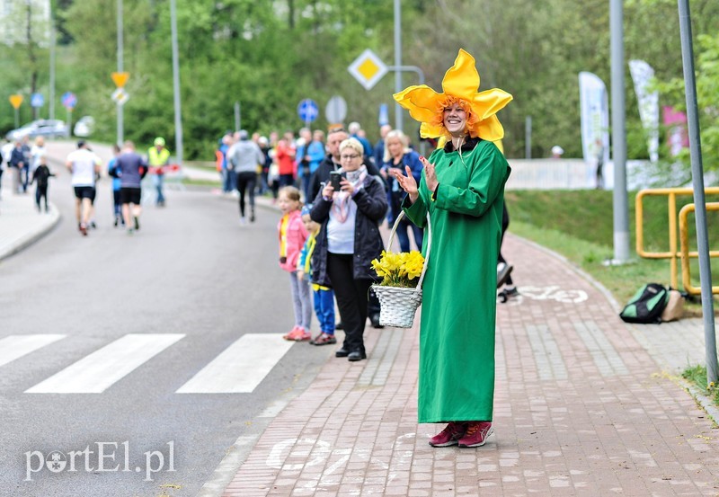 Bieg dla hospicjum zdjęcie nr 199949