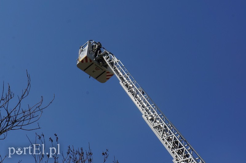 Pożar w wieżowcu przy Lotniczej zdjęcie nr 200164