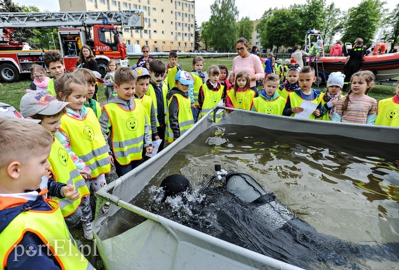 Dobrze się bawili ze służbami zdjęcie nr 200746