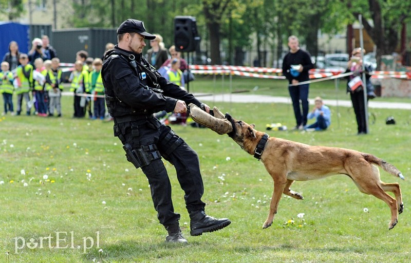 Dobrze się bawili ze służbami zdjęcie nr 200734