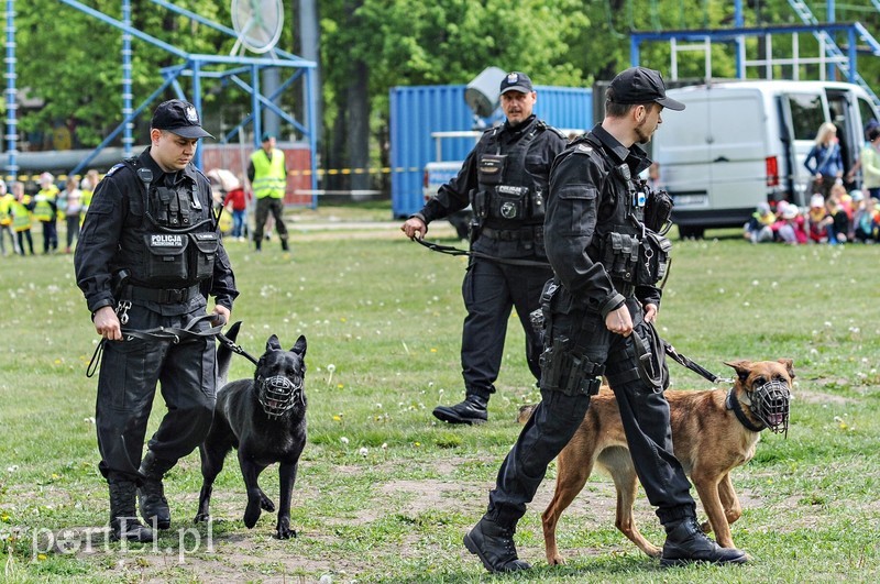 Dobrze się bawili ze służbami zdjęcie nr 200730