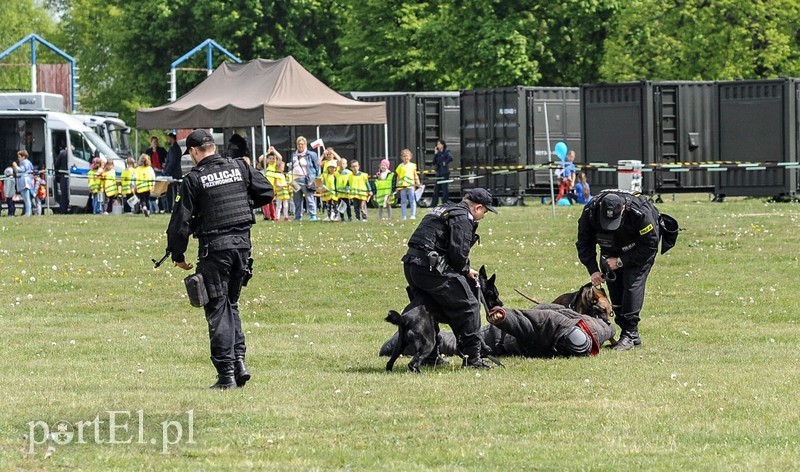 Dobrze się bawili ze służbami zdjęcie nr 200737