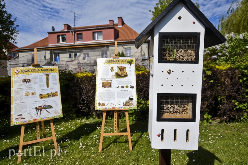 Domki czekają na pszczoły zdjęcie nr 200928