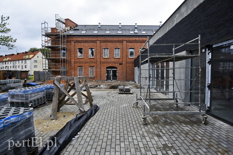 To będzie pierwszy taki ogród w Elblągu zdjęcie nr 200955