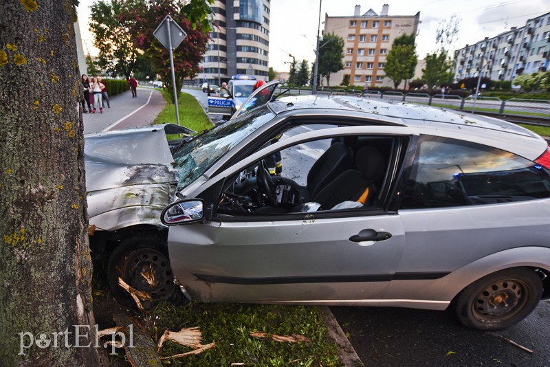 Ford uderzył w drzewo na ul. Płk. Dąbka zdjęcie nr 201937