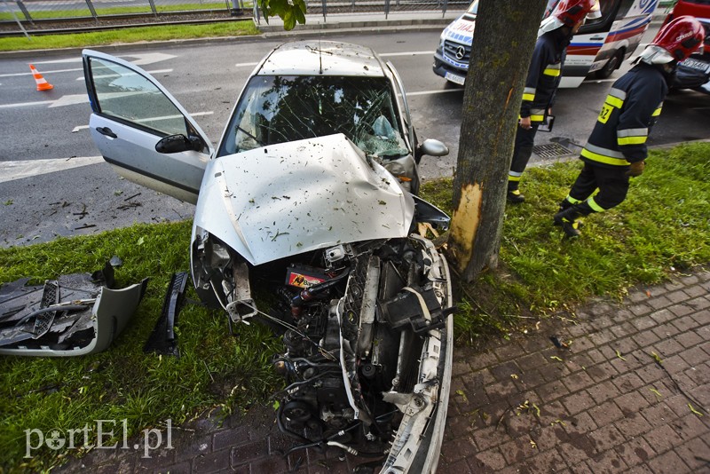 Ford uderzył w drzewo na ul. Płk. Dąbka zdjęcie nr 201932