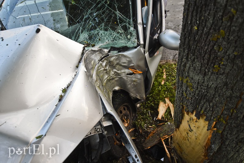 Ford uderzył w drzewo na ul. Płk. Dąbka zdjęcie nr 201934