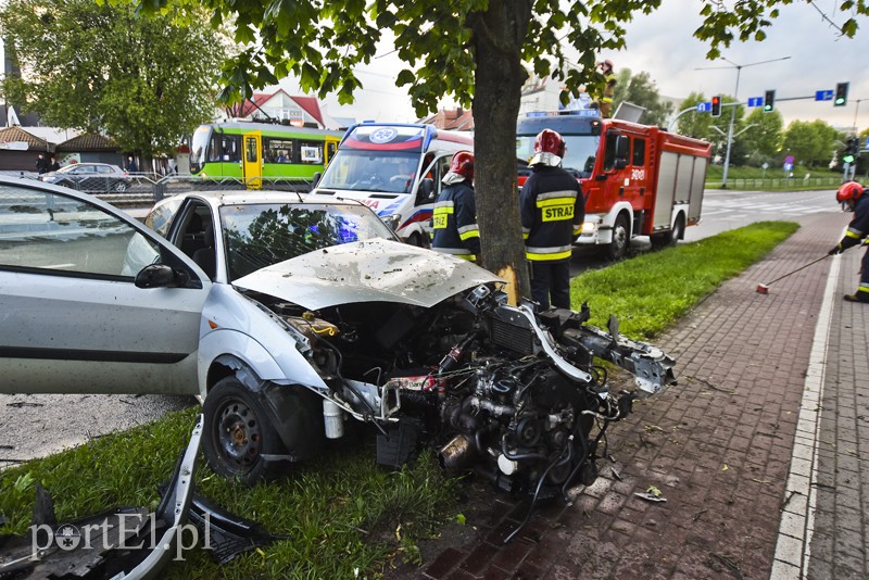 Ford uderzył w drzewo na ul. Płk. Dąbka zdjęcie nr 201931