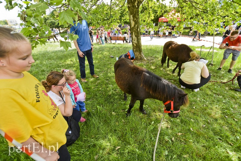 Raj dla burgerożerców zdjęcie nr 202033