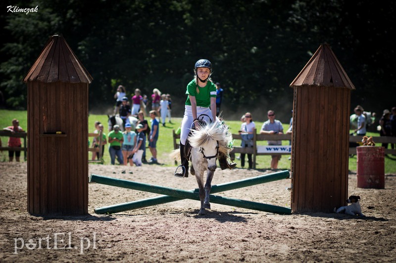 Pony Cup 2019 rozpoczęty zdjęcie nr 202363