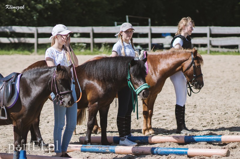 Pony Cup 2019 rozpoczęty zdjęcie nr 202356