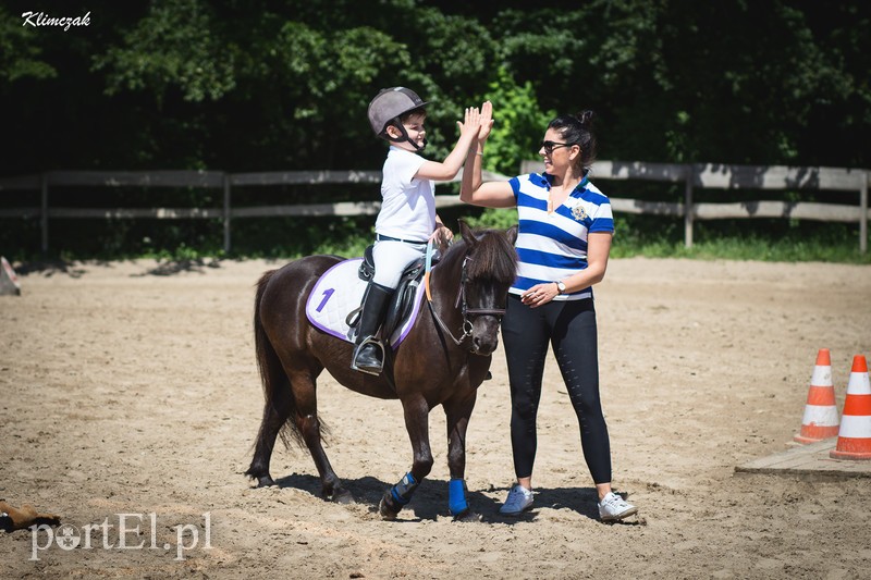 Pony Cup 2019 rozpoczęty zdjęcie nr 202361