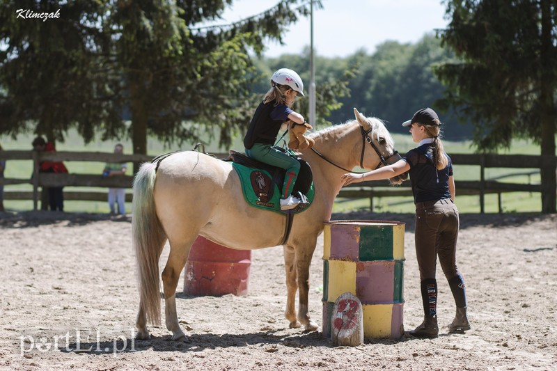 Pony Cup 2019 rozpoczęty zdjęcie nr 202360