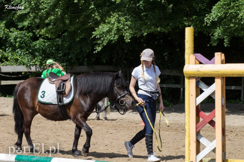 Pony Cup 2019 rozpoczęty zdjęcie nr 202353