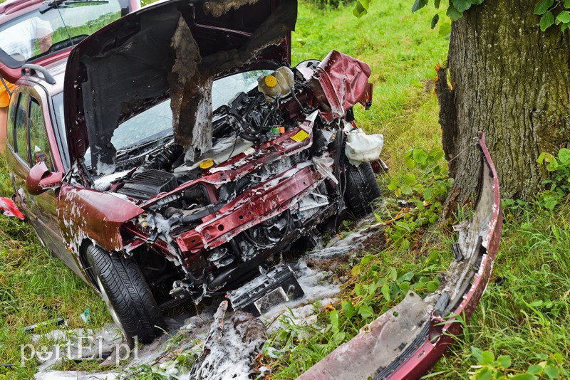 Opel uderzył w drzewo zdjęcie nr 203343