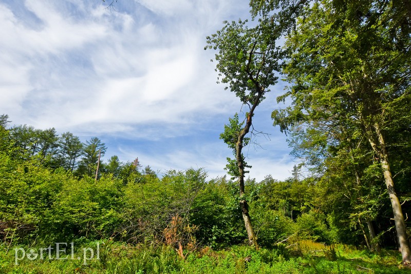 Ostre cięcie, które wyjdzie na zdrowie zdjęcie nr 204191