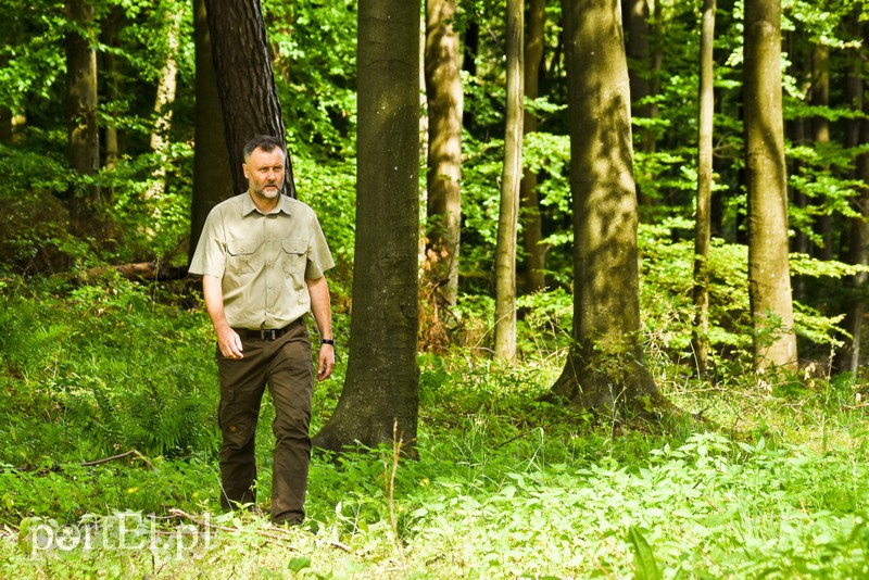 Ostre cięcie, które wyjdzie na zdrowie zdjęcie nr 204190