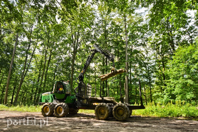 Ostre cięcie, które wyjdzie na zdrowie zdjęcie nr 204181