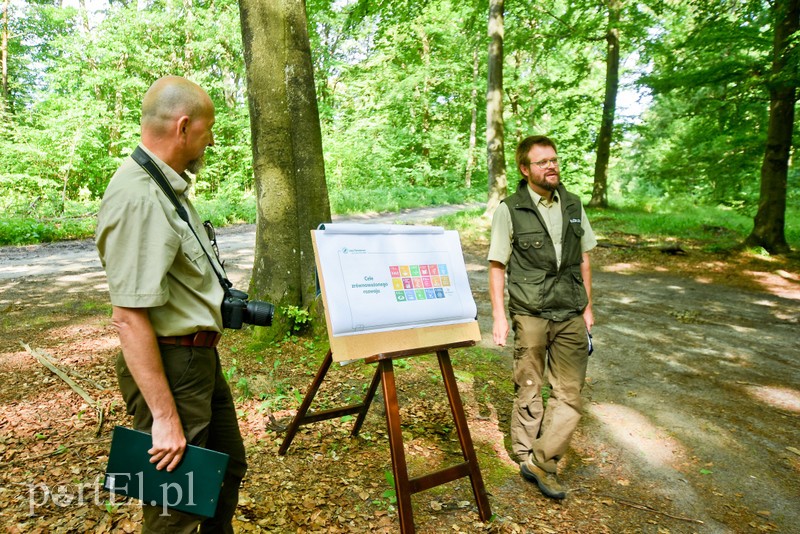 Ostre cięcie, które wyjdzie na zdrowie zdjęcie nr 204174