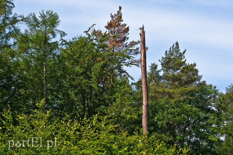 Ostre cięcie, które wyjdzie na zdrowie zdjęcie nr 204188