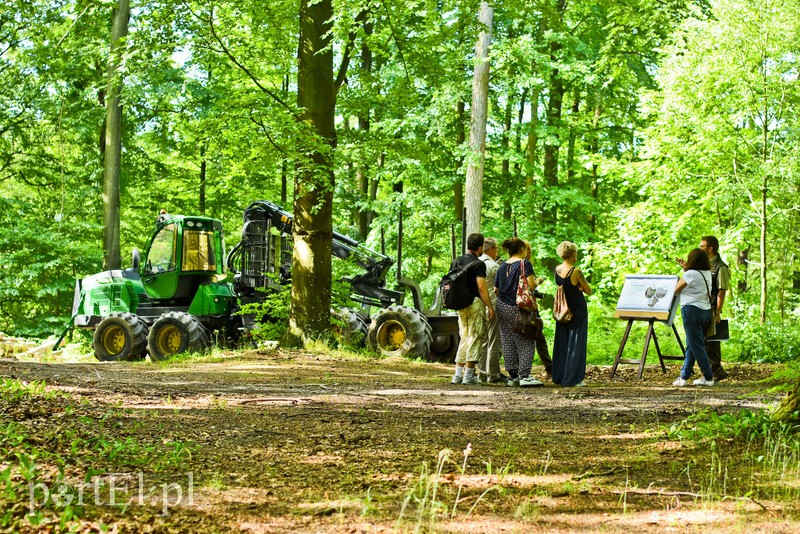 Ostre cięcie, które wyjdzie na zdrowie zdjęcie nr 204175