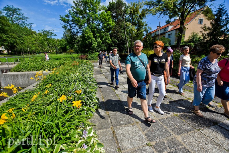 Miasto nowych ludzi, czyli jak zaczął się Elbląg zdjęcie nr 204575