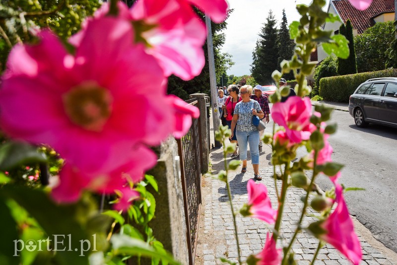 Miasto nowych ludzi, czyli jak zaczął się Elbląg zdjęcie nr 204554