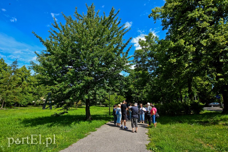 Miasto nowych ludzi, czyli jak zaczął się Elbląg zdjęcie nr 204571