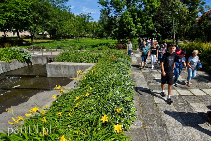 Miasto nowych ludzi, czyli jak zaczął się Elbląg zdjęcie nr 204574