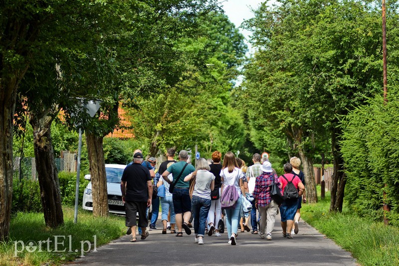 Miasto nowych ludzi, czyli jak zaczął się Elbląg zdjęcie nr 204565