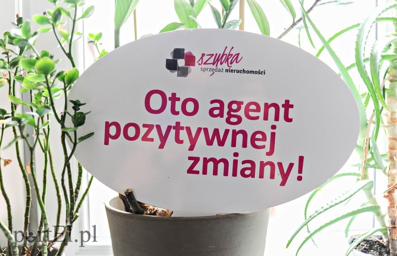 Wiedza i doświadczenie procentują zdjęcie nr 204878