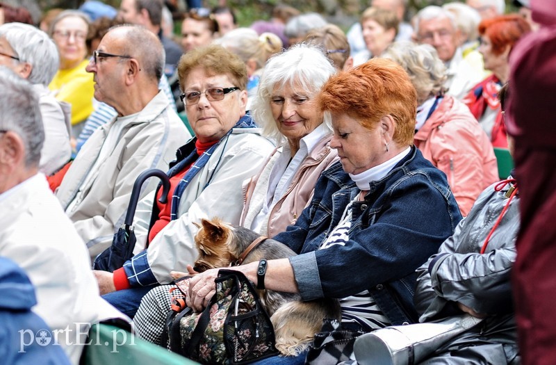 Piosenka jest dobra na wszystko zdjęcie nr 205035