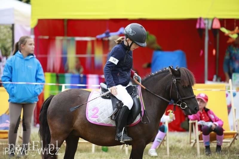 Pony Cup. Sezon trzeci zdjęcie nr 205149