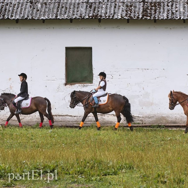 Pony Cup. Sezon trzeci zdjęcie nr 205152