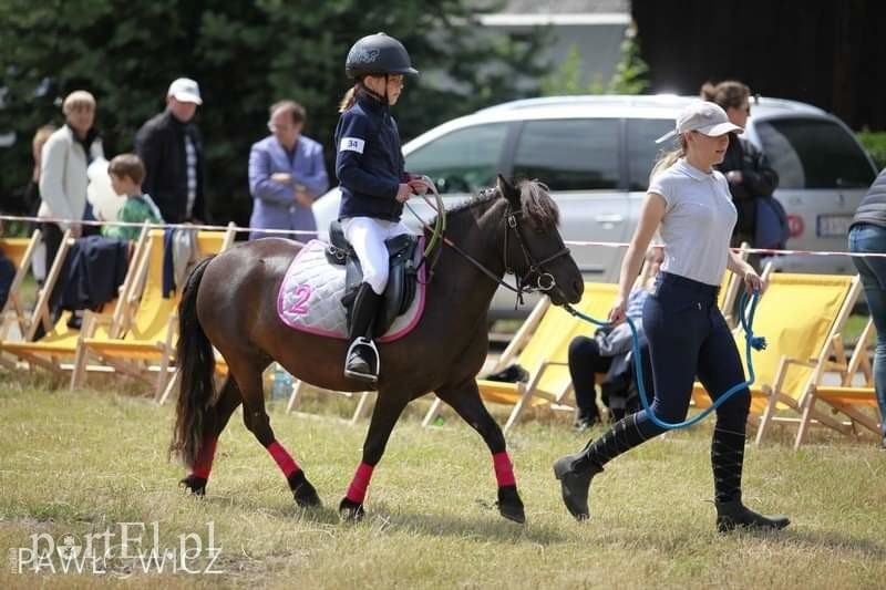 Pony Cup. Sezon trzeci zdjęcie nr 205150