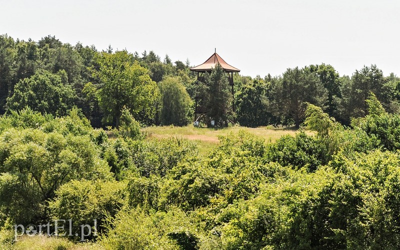 Piękne widoki i smaczne ryby zdjęcie nr 205381