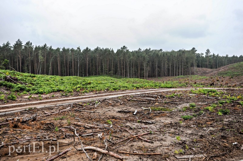 Byli za, ale są przeciw przekopowi zdjęcie nr 205747