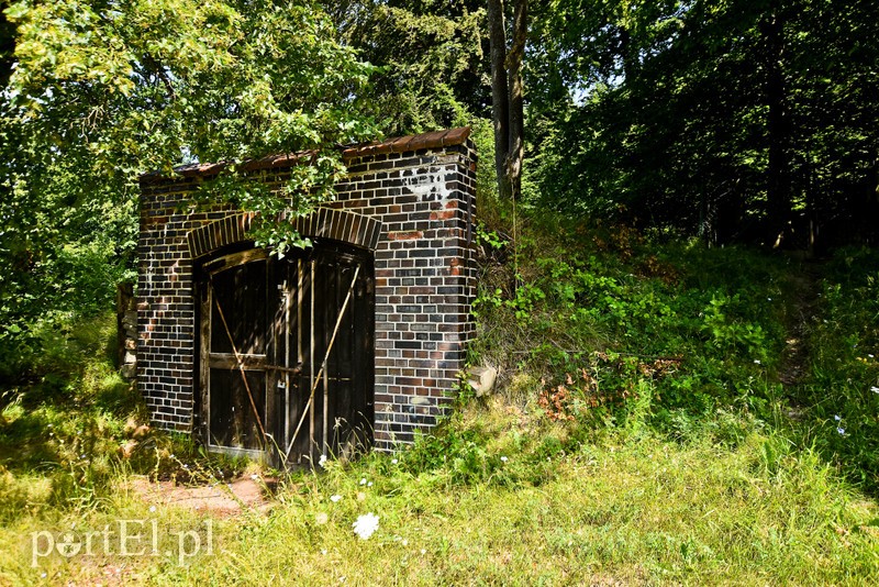 Z wizytą u cesarza Wilhelma (Cudze chwalicie, swego nie znacie, odcinek 4) zdjęcie nr 206010