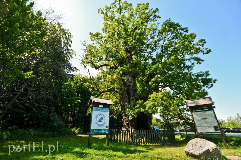 Z wizytą u cesarza Wilhelma (Cudze chwalicie, swego nie znacie, odcinek 4) zdjęcie nr 206003