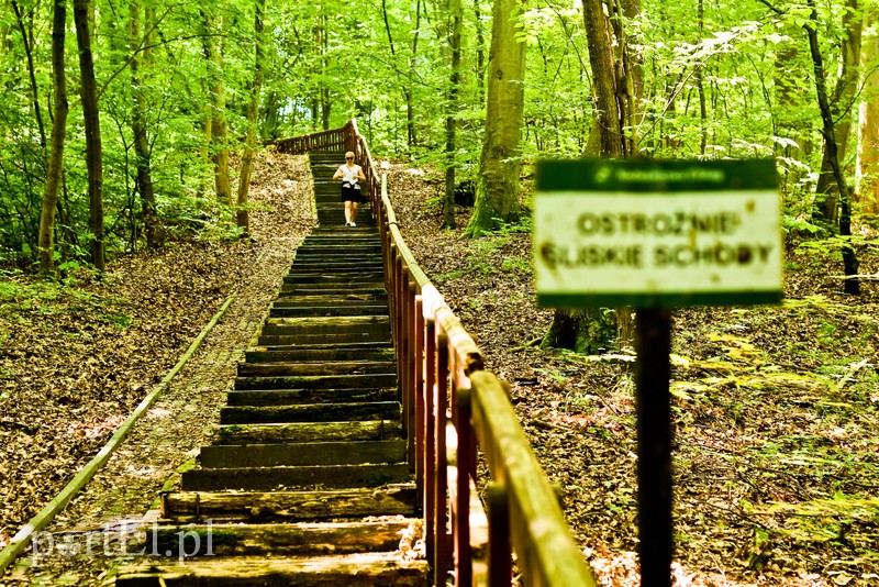 Z wizytą u cesarza Wilhelma (Cudze chwalicie, swego nie znacie, odcinek 4) zdjęcie nr 206001