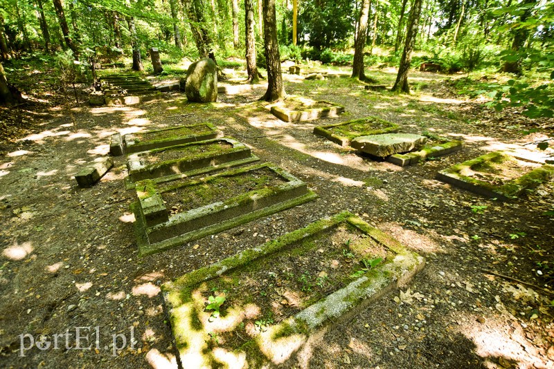 Z wizytą u cesarza Wilhelma (Cudze chwalicie, swego nie znacie, odcinek 4) zdjęcie nr 206043