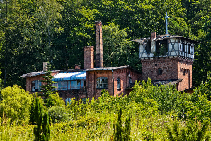 Z wizytą u cesarza Wilhelma (Cudze chwalicie, swego nie znacie, odcinek 4) zdjęcie nr 206008