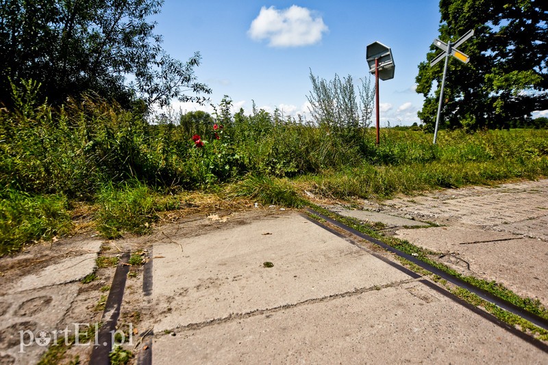 Z wizytą u cesarza Wilhelma (Cudze chwalicie, swego nie znacie, odcinek 4) zdjęcie nr 206011