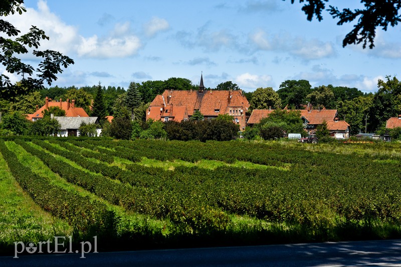 Z wizytą u cesarza Wilhelma (Cudze chwalicie, swego nie znacie, odcinek 4) zdjęcie nr 206005